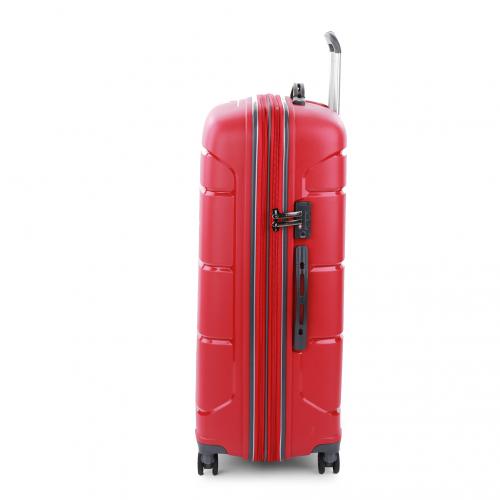Large Luggage 
