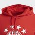 Adidas Sweatshirt DNA Bayern Monaco