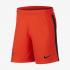 Nike Pantaloncini Gara Portiere Paris Saint Germain   20/21