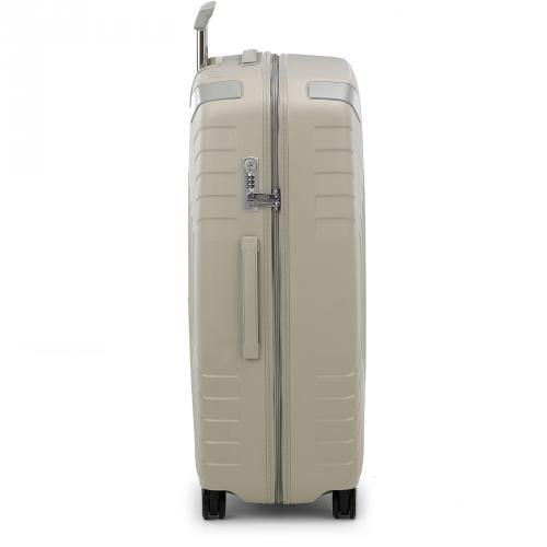 Large Luggage 