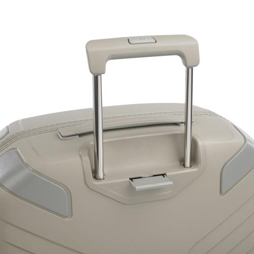 Large Luggage 