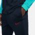 Nike Tuta  Barcellona