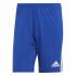 Adidas Game Shorts Squadra 21    Fall Winter 24