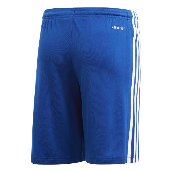 Adidas Spielerhose Squadra 21  Juniormode  Fall Winter 24 Blue Tifoshop