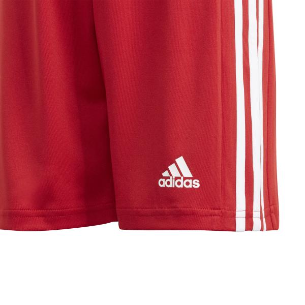 Adidas Spielerhose Squadra 21  Juniormode  Fall Winter 24 Red Tifoshop