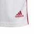 Adidas Game Shorts Squadra 21  Junior  Fall Winter 24