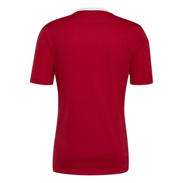 Adidas Shirt Entrada 22    Continuativa Red Tifoshop