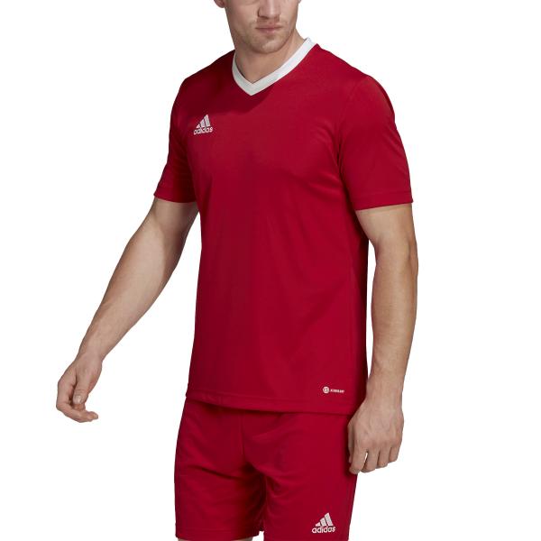 Adidas Maillot De Match Entrada 22    Continuativa Red Tifoshop