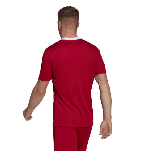 Adidas Maillot De Match Entrada 22    Continuativa Red Tifoshop