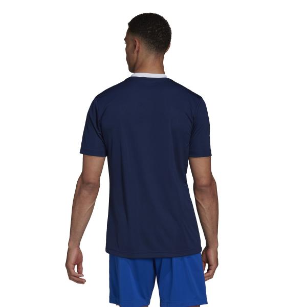 Adidas Maglia Allenamento Entrada 22 Blu Tifoshop