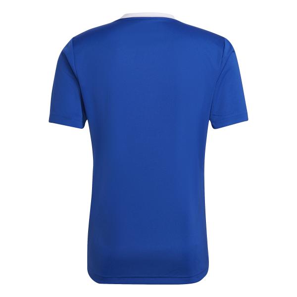 Adidas Trainingstrikot Maglia Entrada 22 Blue Tifoshop