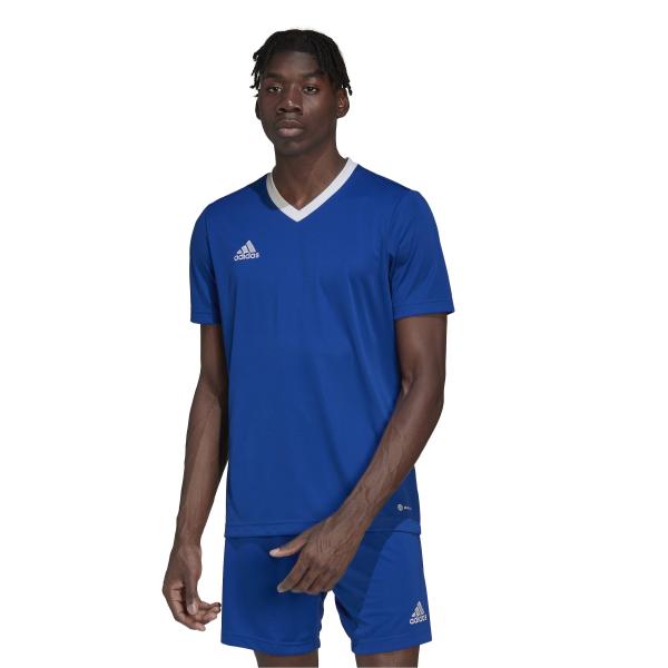 Adidas Bonneterie De Formation Maglia Entrada 22 Blue Tifoshop