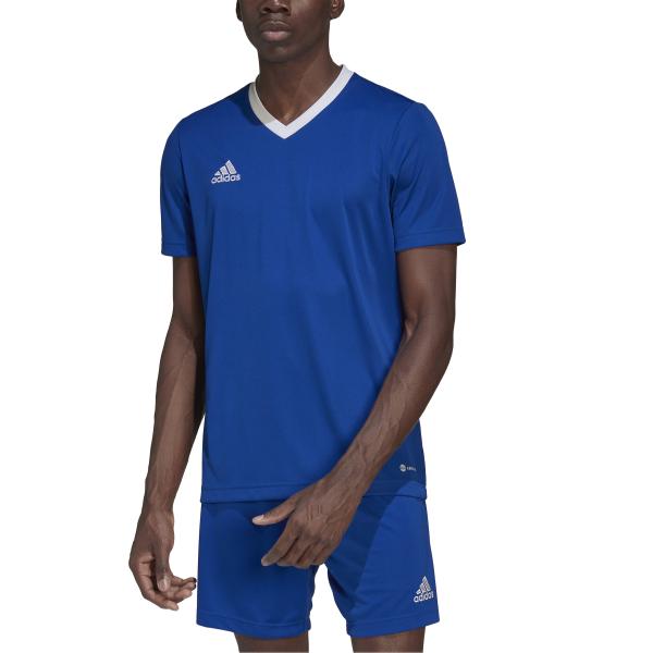 Adidas Trainingstrikot Maglia Entrada 22 Blue Tifoshop