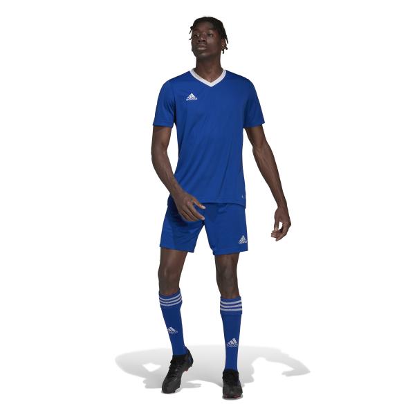 Adidas Bonneterie De Formation Maglia Entrada 22 Blue Tifoshop