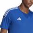 Adidas Jersey Tiro 23    Fall Winter 24