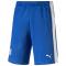 Puma Short Pants FIGC Fanwear Bermudas Italy