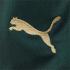 Puma Game Shorts Third Italy   20/22