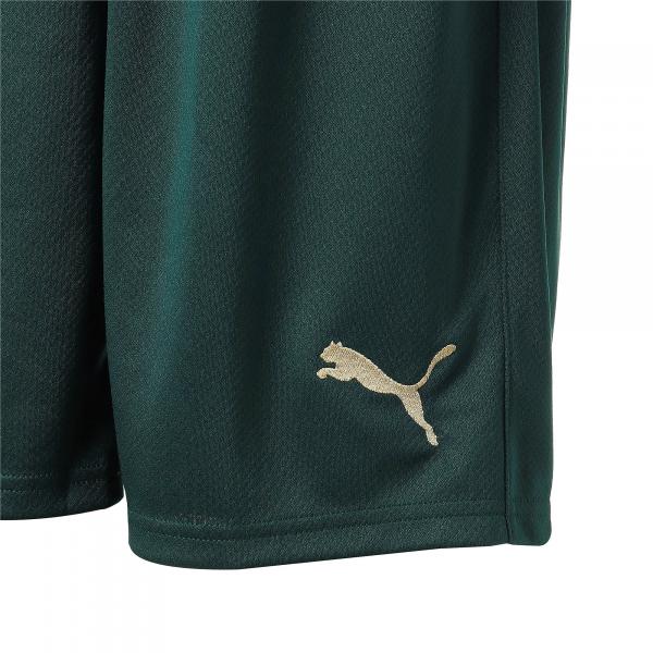 Puma Game Shorts Third Italy   20/22 PONDEROSA PINE-PEACOAT Tifoshop
