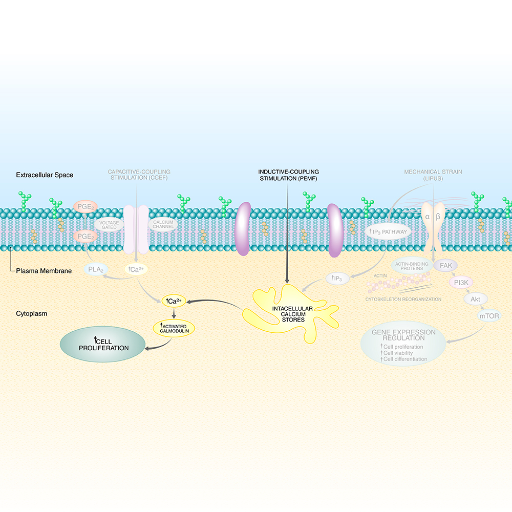 TOP 10 BEST Emilian near Ponte San Nicolò, Padova, Italy - Updated 2026 -  Yelp, image size:1000x1000