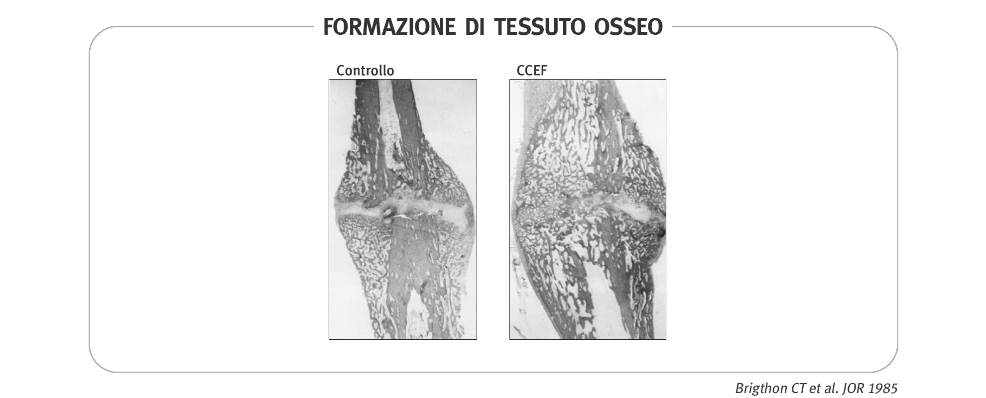Emorecupero intraoperatorio | PDF, image size:1980x800