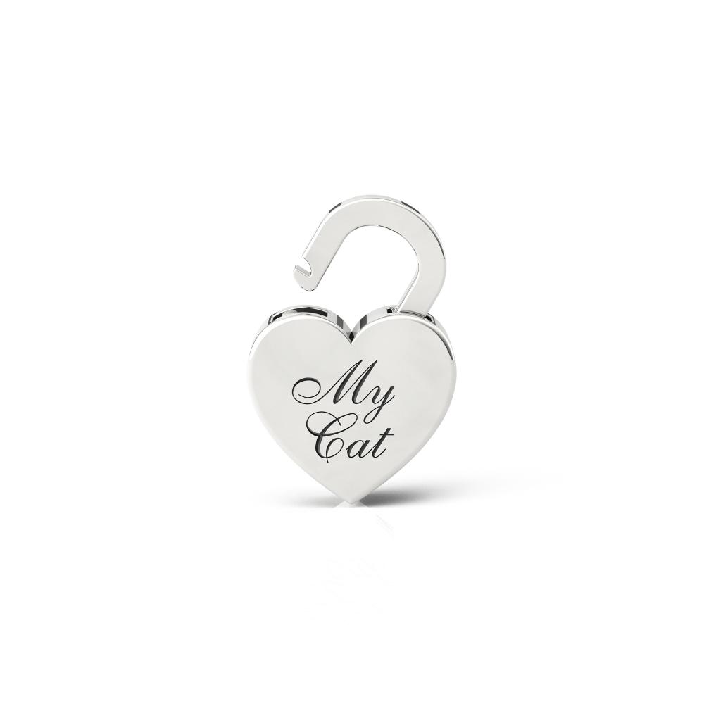 My cat