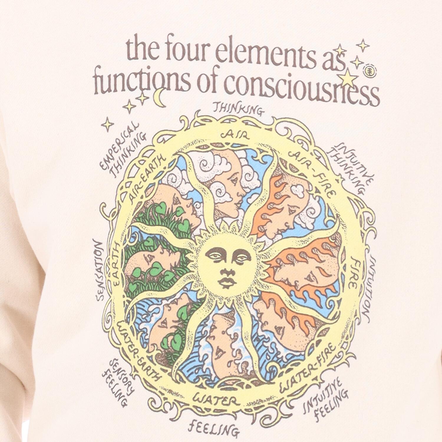 Element As Consciousness  <br/> SCOUR