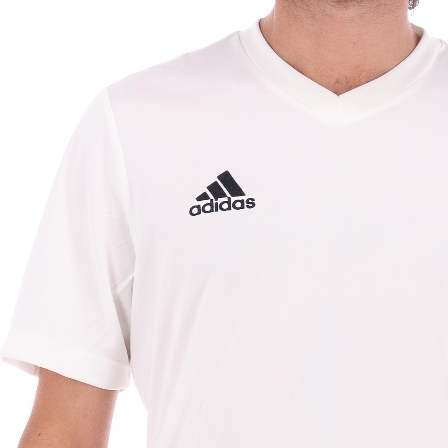 Adidas T-shirt Adidas Entrada 22 White 